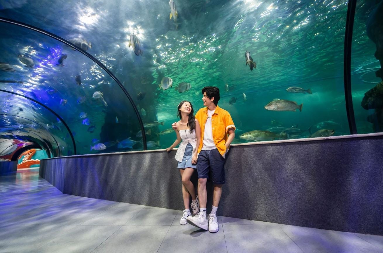 Thủy Cung Vinpearl Aquarium Times City